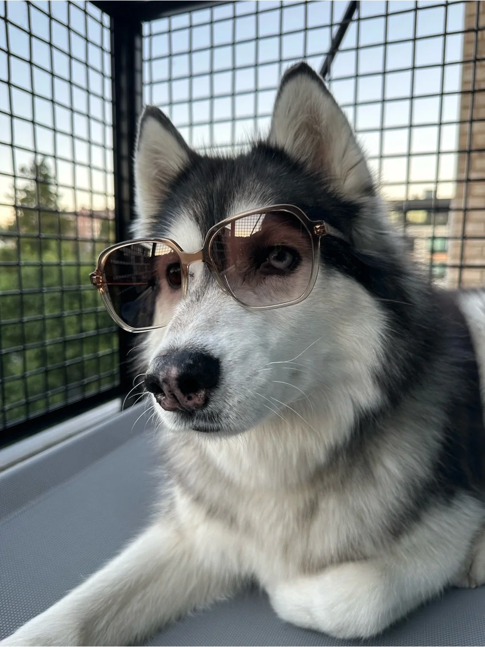 Oversized Sunglasses — Brown Gradient